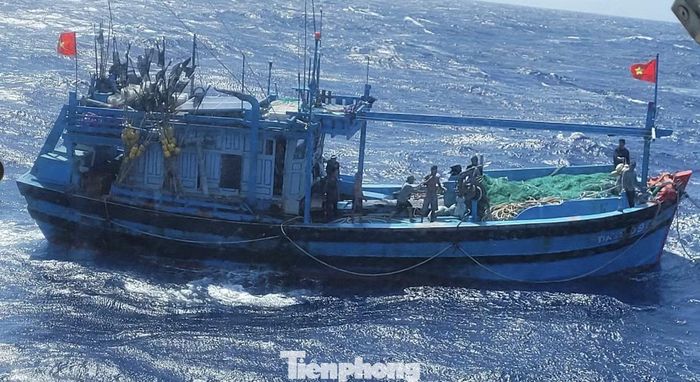 Trước đó, khoảng 14h40 ngày 21/8, tàu ĐNa 90968 TS do ông Từ Văn Quý, trú tại phường Sơn Trà, TP. Đà Nẵng, làm thuyền trưởng, cùng 8 thuyền viên đang hành nghề trên biển, cách đảo Tri Tôn khoảng 90 hải lý thì gặp sự cố máy. Thời điểm này, khu vực biển có thời tiết xấu do ảnh hưởng của áp thấp nhiệt đới mạnh lên thành Bão số 4. Sóng cao từ 3 - 4m, biển động mạnh, khiến tàu mất khả năng điều động và có nguy cơ tiếp tục trôi dạt.