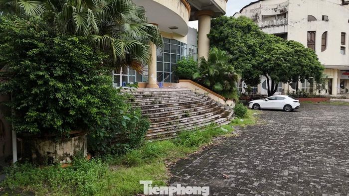 Khi được hỏi vì sao khu vực sảnh rộng lớn của Cung văn hóa Thể thao Thanh niên Hà Nội lại để hoang hóa, xuống cấp, cỏ dại mọc, vị lãnh đạo cho biết, bất cập lớn nhất ở đây là cơ chế quản lý của cấp trên áp dụng đối với đơn vị sự nghiệp công lập tự chủ của Thành phố không bắt kịp với thực tế.