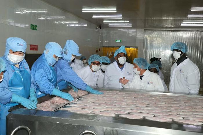Đoàn công tác cũng đến thăm một doanh nghiệp xuất khẩu thủy sản ở Khu công nghiệp Trà Nóc, TP Cần Thơ, tìm hiểu quy trình sản xuất, chế biến, xuất khẩu cá tra và định hướng phát triển chuỗi giá trị thủy sản.