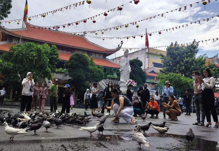 Chùa Vĩnh Nghiêm (phường Xuân Hòa) cũng là nơi có đàn chim bồ câu lên đến hàng trăm con. Người dân khi đi lễ chùa có dịp vui chơi và cho chim ăn. Ảnh tư liệu.