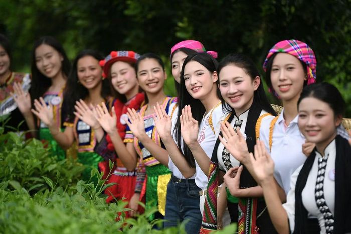 Đồi chè Tân Uyên là một trong những hình ảnh đặc trưng của địa phương, với những nương chè xanh trải rộng theo triền đồi, tạo nên không gian khoáng đạt giữa núi rừng Tây Bắc.