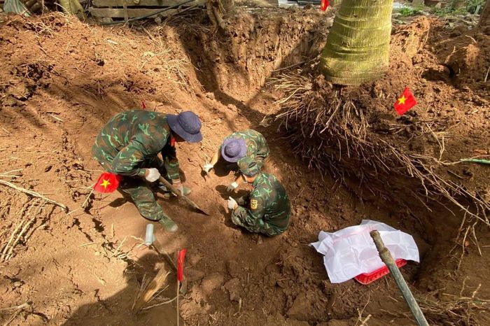 Đội K91 dùng tay đào, gỡ từng nhánh rễ để hạn chế ảnh hưởng đến hài cốt liệt sĩ và cây dừa của người dân. Ảnh: Đội K91 