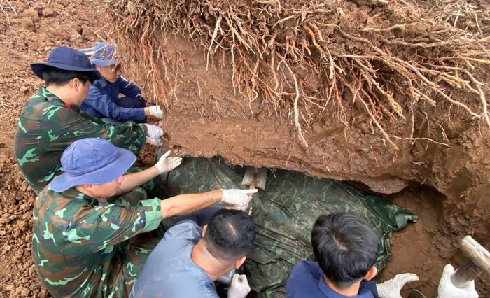 Bàn tay người lính thay máy móc, từng bước gỡ rễ cây để cất bốc hài cốt liệt sĩ. Ảnh: Đội K91