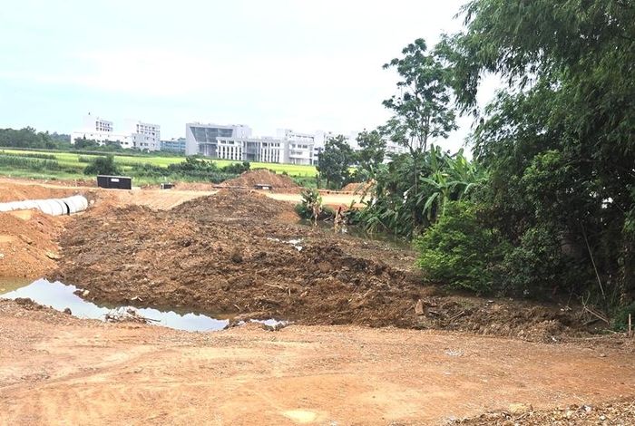 Mảnh đất của gia đình bà Hà và hiện công dân đang tố giác bị một nhóm người có hành vi gian dối kê khai để nhận bồi thường, hỗ trợ tái định cư khi Nhà nước thu hồi đất.