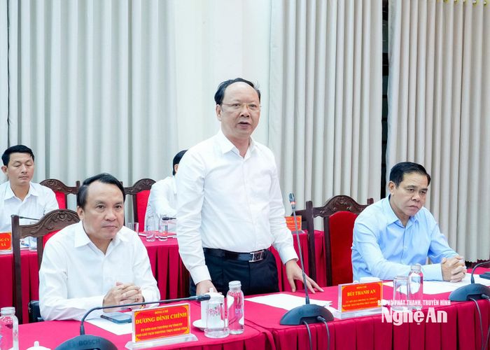 Đồng chí Bùi Thanh An - Ủy viên Ban Thường vụ Tỉnh ủy, Phó Chủ tịch Thường trực UBND tỉnh phát biểu tại cuộc họp. Ảnh: Phạm Bằng