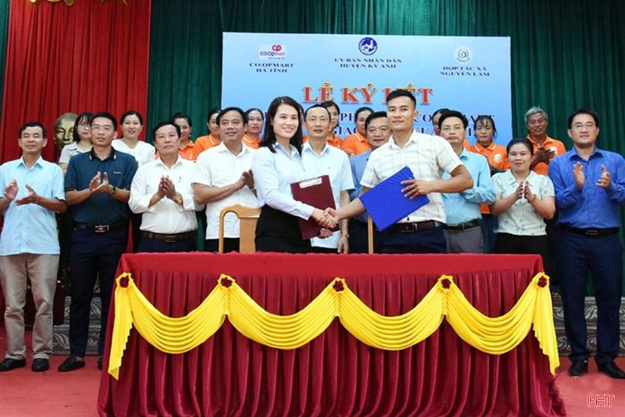Đại diện HTX Sản xuất, thương mại và dịch vụ Nguyên Lâm và Siêu thị Co.opmart Hà Tĩnh ký kết tiêu thụ sản phẩm, năm 2022.