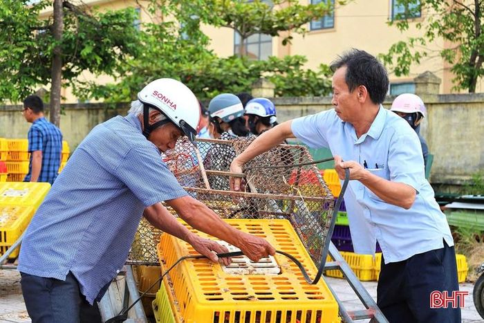  Từ đầu năm đến nay, xã Đồng Kinh có 26 hộ được trao bê nái, 73 hộ được hỗ trợ gà sinh kế, với tổng kinh phí khoảng 1,4 tỷ đồng. 
