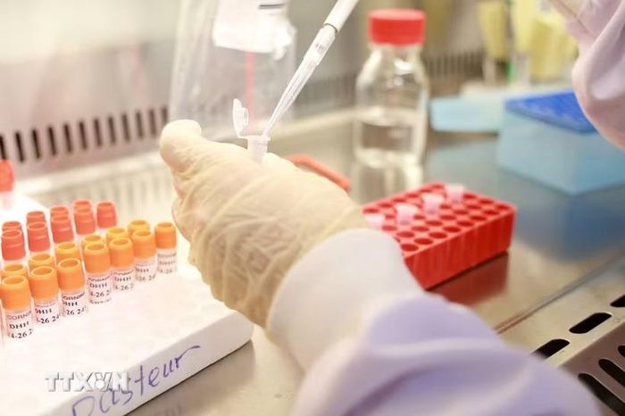 Nhân viên y tế thực hiện quy trình xét nghiệm và phân lập virus. (Ảnh: TTXVN)