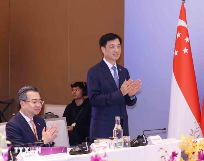 Đồng chí Nguyễn Duy Ngọc, Ủy viên Bộ Chính trị, Bí thư Trung ương Đảng, Trưởng Ban Tổ chức Trung ương dự Đối thoại Chiến lược Việt Nam-Singapore lần thứ nhất. (Ảnh: Phương Hoa/TTXVN)