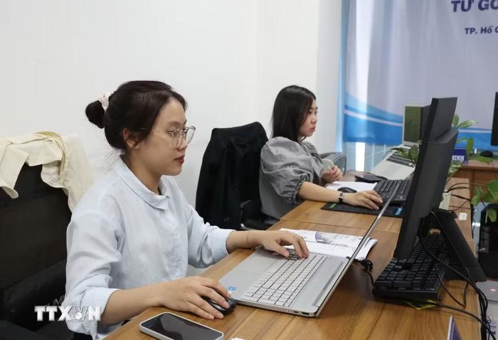 Nhân viên phát triển khách hàng Trung tâm Tư vấn pháp luật tại Thành phố Hồ Chí Minh xử lý hồ sơ trên máy tính. (Ảnh: Hồng Đạt/TTXVN)