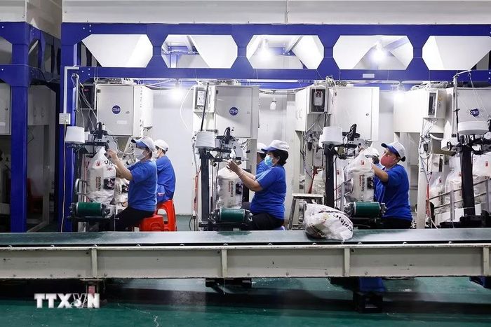 Dây chuyền đóng gói, hoàn thiện sản phẩm tại Công ty Nông nghiệp công nghệ cao Trung An. (Ảnh: Doãn Tấn/TTXVN)