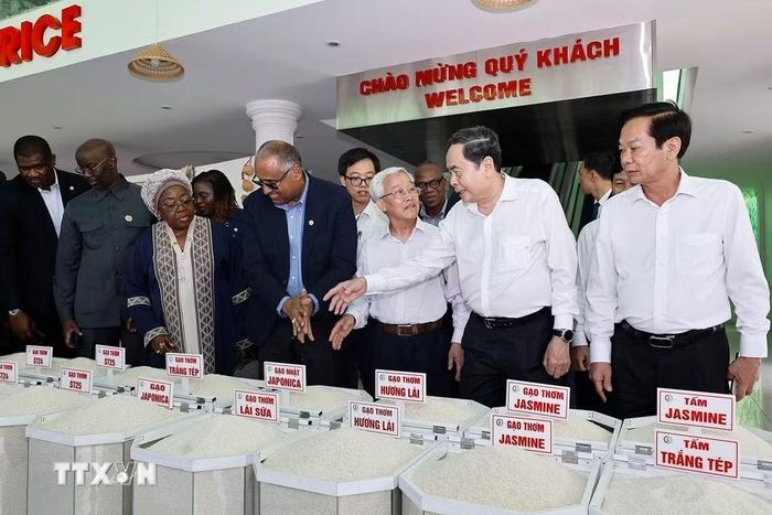 Chủ tịch Quốc hội Trần Thanh Mẫn và Chủ tịch Quốc hội Côte d’Ivoire Patrick Achi xem sản phẩm gạo của Công ty Nông nghiệp công nghệ cao Trung An. (Ảnh: Doãn Tấn/TTXVN)