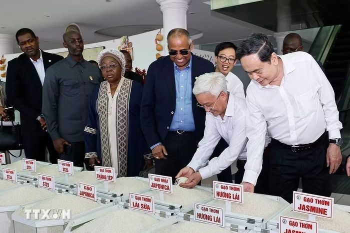 Chủ tịch Quốc hội Trần Thanh Mẫn và Chủ tịch Quốc hội Côte d’Ivoire Patrick Achi xem sản phẩm gạo của Công ty Nông nghiệp công nghệ cao Trung An. (Ảnh: Doãn Tấn/TTXVN)