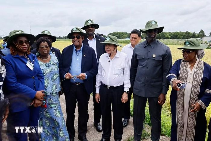 Chủ tịch Quốc hội Trần Thanh Mẫn và Chủ tịch Quốc hội Cộng hòa Côte d’Ivoire Patrick Achi thăm cánh đồng trình diễn giống lúa triển vọng vụ Hè-Thu 2026. (Ảnh: Doãn Tấn/TTXVN)