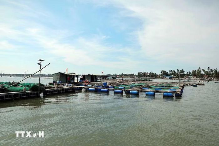 Nuôi thủy sản lồng bè ở xã đảo Tam Hải, thành phố Đà Nẵng. (Ảnh: Đỗ Trưởng/TTXVN)