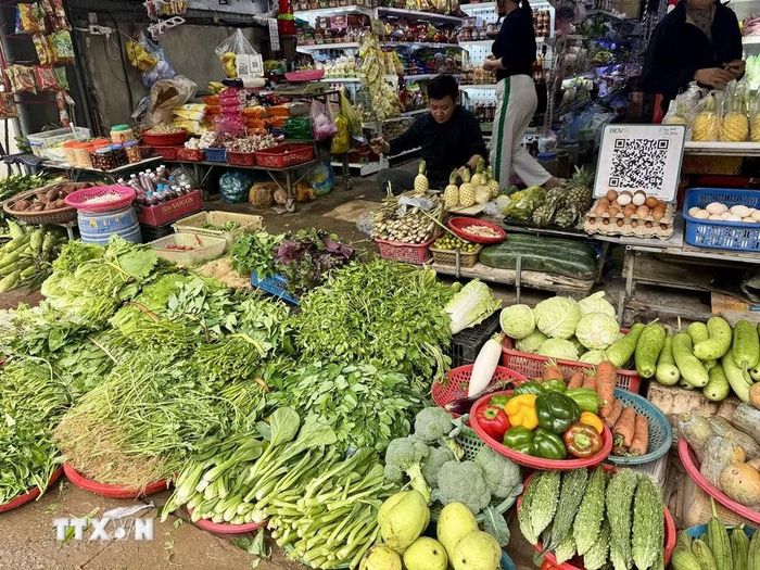 Ảnh chỉ có tính minh họa. (Ảnh: Hoàng Ngà/TTXVN)