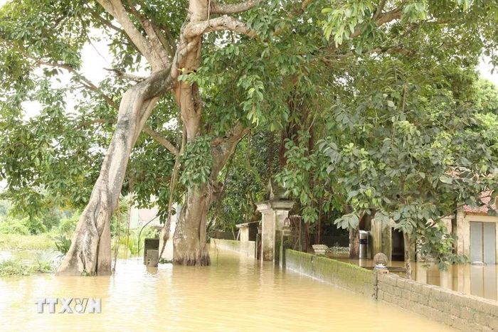 Nước lũ đang rút tại khu vực đình Ngọc Nhị, thôn Gia Thủy, xã Gia Tường. (Ảnh: Đức Phương/TTXVN)