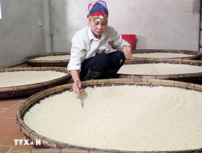 Trong ảnh: Nguyên liệu chính để làm tương là gạo nếp Thầu dầu, đỗ tương và muối trắng. (Ảnh: Quân Trang/TTXVN)