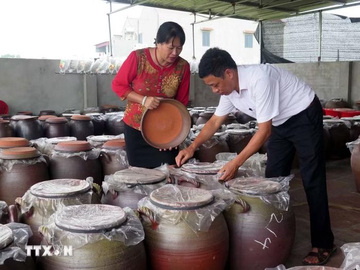 Chum tương phải được bọc kín miệng bằng túi bóng để giữ mùi thơm, tránh bị các vi sinh vật, ruồi muỗi làm hư và đặt ở chỗ thoáng mát, sạch sẽ ngoài trời. (Ảnh: Quân Trang/TTXVN)