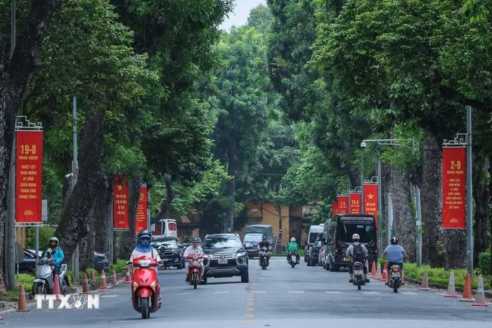 Băng rôn rực rỡ chào mừng 81 năm Cách mạng Tháng Tám thành công và Quốc khánh (2/9/1945-2/9/2026) trên đường Hoàng Văn Thụ. (Ảnh: Hoàng Hiếu/TTXVN)
