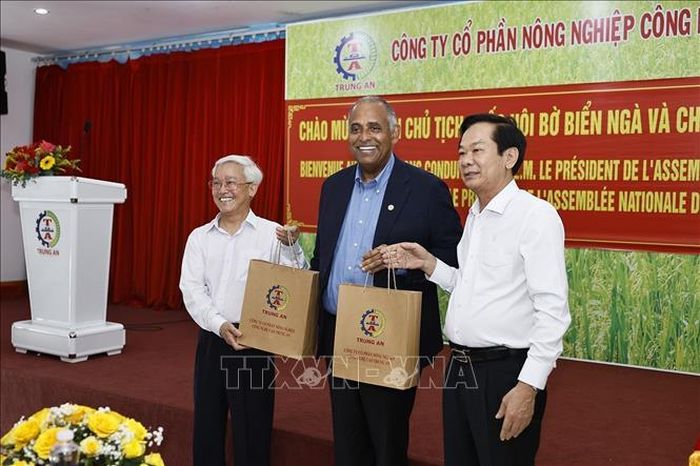 Bí thư Thành ủy Cần Thơ Đỗ Thanh Bình và lãnh đạo Công ty Nông nghiệp công nghệ cao Trung An tặng gạo cho Chủ tịch Quốc hội Cộng hòa Côte d’Ivoire Patrick Achi. Ảnh: Doãn Tấn/TTXVN