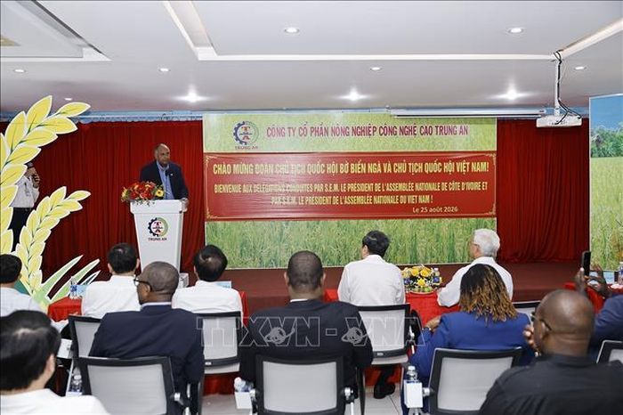 Chủ tịch Quốc hội Cộng hòa Côte d’Ivoire Patrick Achi phát biểu. Ảnh: Doãn Tấn/TTXVN