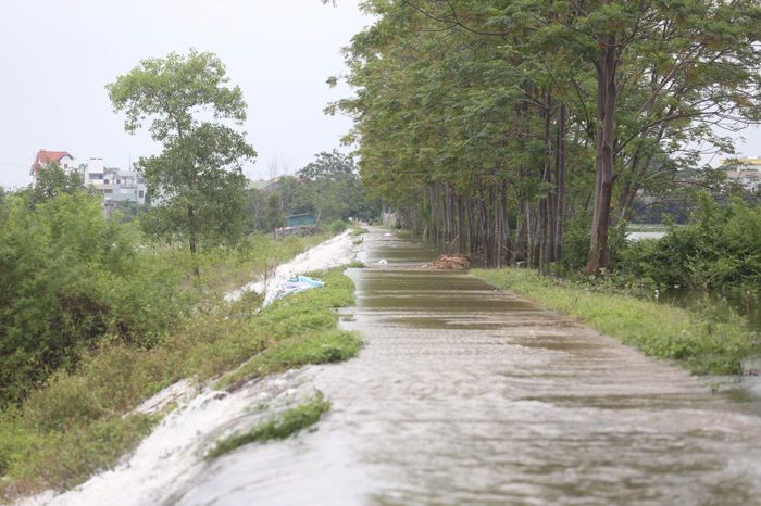 Nước tràn qua đường đê tại xã Kiều Phú.