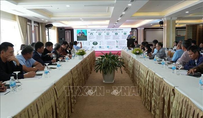 Chương trình tập huấn nâng cao năng lực cho cán bộ khuyến nông về sản xuất chanh leo phục vụ xuất khẩu tại Lâm Đồng do Trung tâm Khuyến nông Quốc gia tổ chức chiều 25/8.