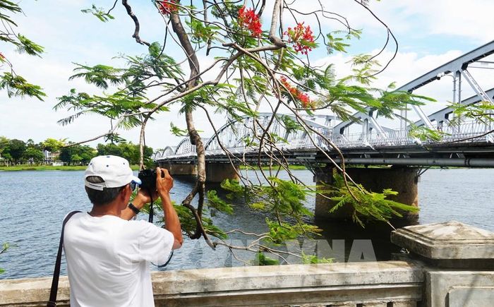 Du khách chụp ảnh cầu Trường Tiền trên sông Hương ở trung tâm thành phố Huế. Ảnh: Nguyên Lý - TTXVN