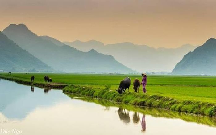 Khung cảnh khiến ai cũng muốn chậm lại để tận hưởng. Ảnh: Duc Ngo