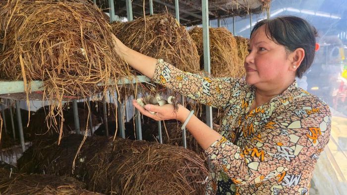 Nhờ khởi nghiệp từ trồng nấm rơm, gia đình chị Tươi trở nên khá giả, tạo việc làm cho các thành viên trong gia đình - Ảnh Hoàng Tuấn