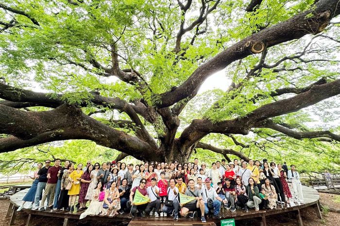 Du khách Việt trải nghiệm tour du lịch nước ngoài