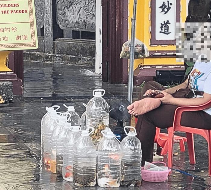 Rùa được bày bán trước cổng chùa.