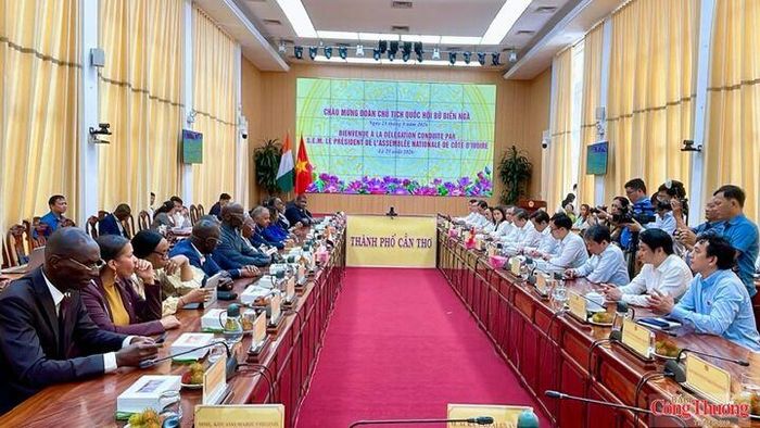 Quang cảnh tại buổi làm việc. 