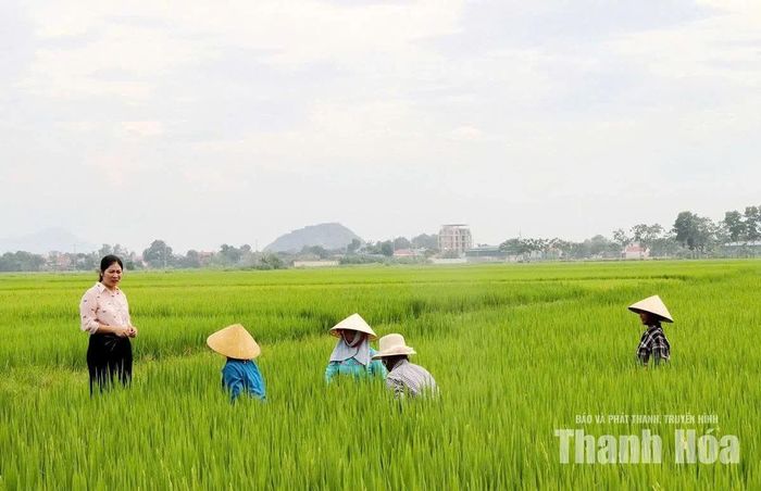 Chị Đặng Thị Hoan, Bí thư chi bộ thôn Bái Trại, xã Yên Định thăm tình hình sản xuất nông nghiệp của bà con nông dân.