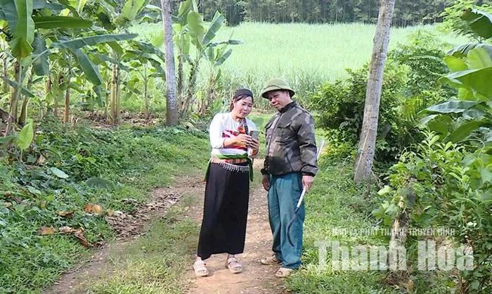 Gia đình anh Lê Văn Yêu, thôn Ba Ngọc (xã Sao Vàng) ứng dụng kỹ thuật, công nghệ số vào sản xuất, tiêu thụ sản phẩm.