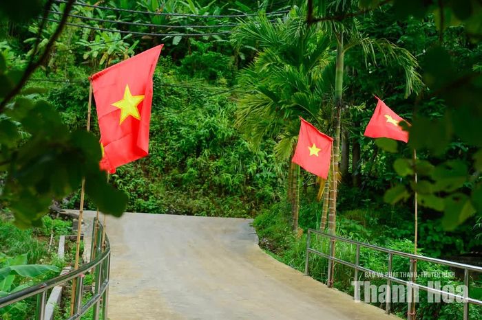 Ngay từ cổng trường, những lá cờ Tổ quốc được treo trang trọng.