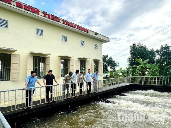 Vận hành các trạm bơm tiêu úng.