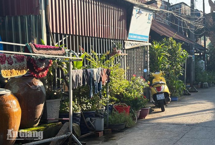 Những chậu cây xanh với kích thước lớn, bồn nước tưới cây lấn lối đi chung trong một con hẻm ở ấp Sơn Tiến, xã Mỹ Thuận. Ảnh: TƯƠNG VI
