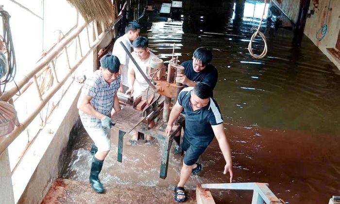  Người dân thôn Mai Trung, xã Xuân Cẩm di dời tài sản lên vị trí cao để phòng tránh ngập úng. 