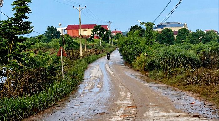  Phương tiện lưu thông trở lại trên đường tỉnh 291B qua địa bàn xã Nam Dương. 