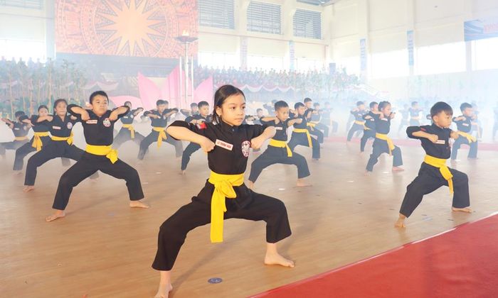Biểu diễn võ thuật trong chương trình nghệ thuật đồng diễn.