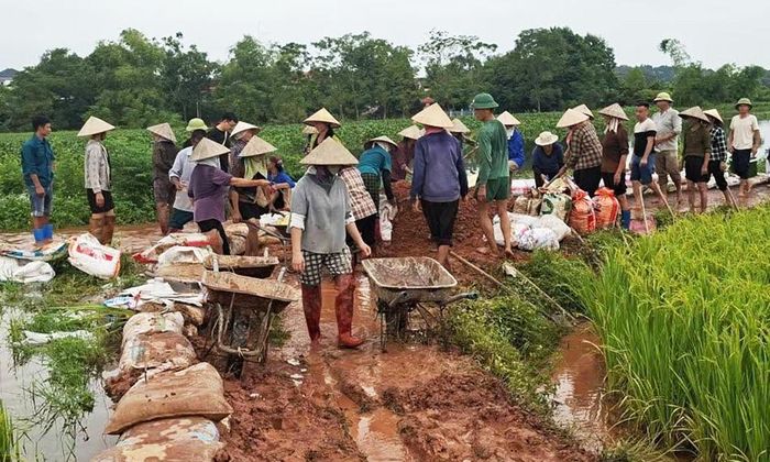  Tại thôn Hòa Bình, xã Phúc Hòa, trước tình trạng nước khu vực ao Mèo tiếp tục dâng cao, bắt đầu tràn qua bờ, đe dọa khu dân cư và diện tích sản xuất, thôn khẩn trương huy động người dân chung sức đắp, tôn cao các vị trí xung yếu nhằm ngăn nước tràn vào khu dân cư, bảo vệ tài sản và hoa màu. Sau thời gian khẩn trương triển khai, đoạn bờ có nguy cơ tràn cơ bản được gia cố, tình hình bước đầu được kiểm soát. 