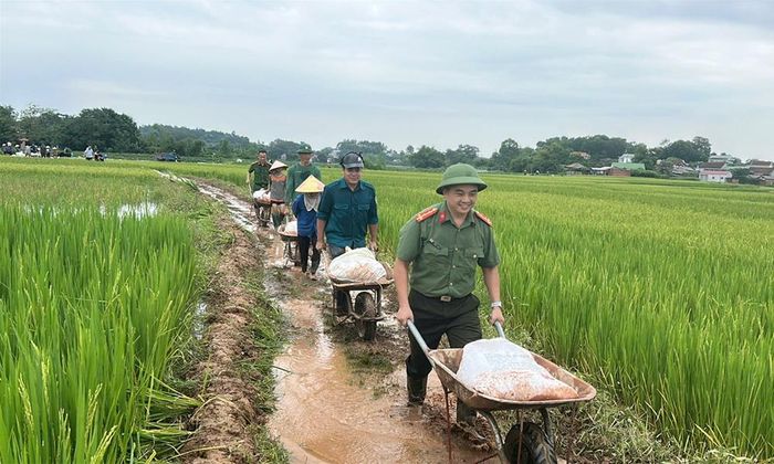  Lực lượng công an, quân đội, dân quân tự vệ cùng Nhân dân xã Phúc Hòa gia cố các vị trí xung yếu, bảo vệ cây trồng, vật nuôi, thủy sản.  