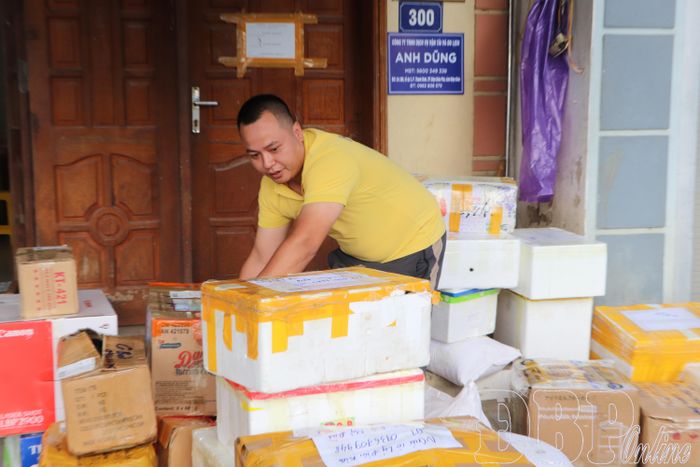 Đơn vị vận chuyển hành khách, hàng hóa Hải Vân sắp xếp hàng hóa trước khi lưu thông.
