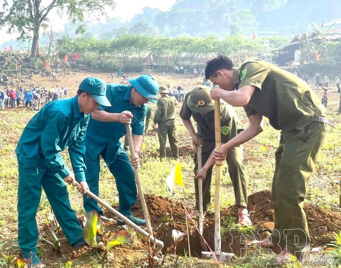 Chiến sĩ dân quân xã Mường Tùng phối hợp với các lực lượng giúp dân đào hố trồng mắc ca, cà phê.