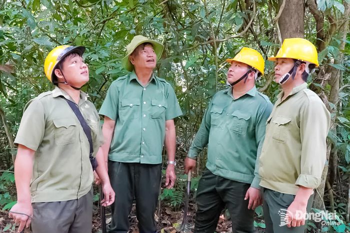 Lực lượng Ban Quản lý rừng phòng hộ Tân Phú làm nhiệm vụ tuần tra rừng.