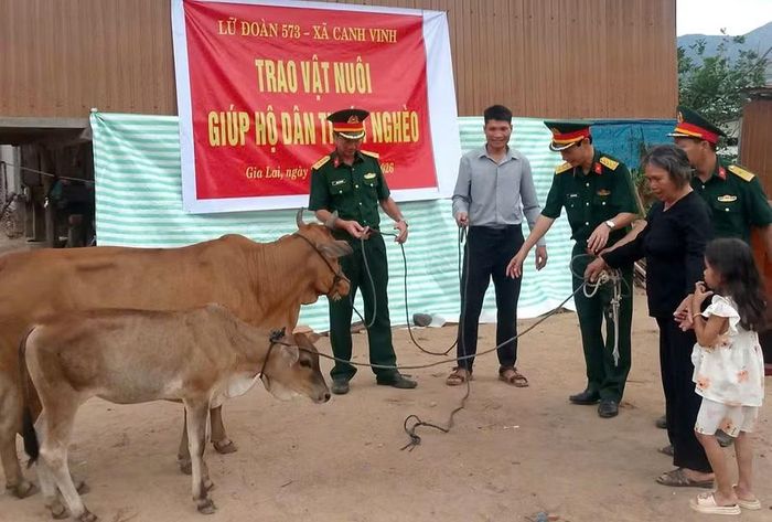  Lữ đoàn 573 trao tặng bò giống cho bà Đoàn Thị Đừng. Ảnh: Minh Lâm 