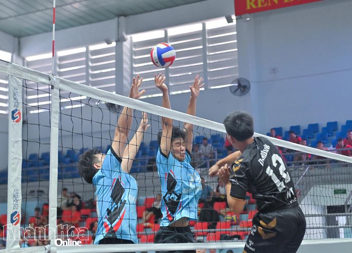 Các đội bóng thi đấu.