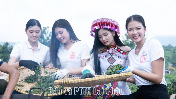 ... trải nghiệm sao chè thủ công.